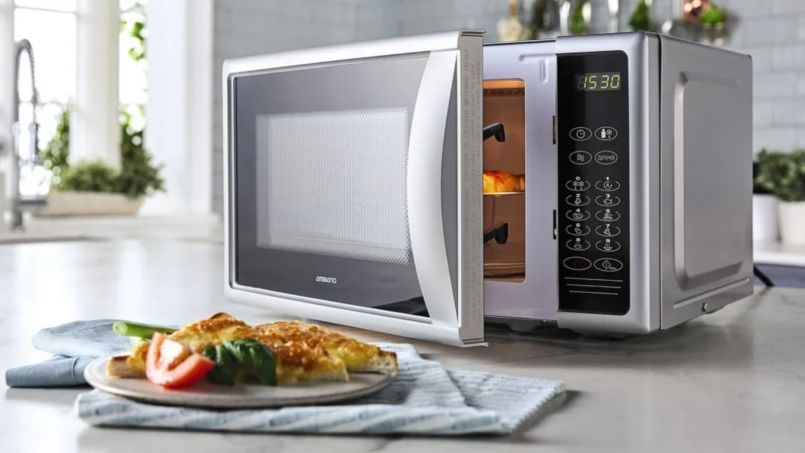 microwave-1